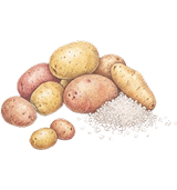 potato salt flavor ip